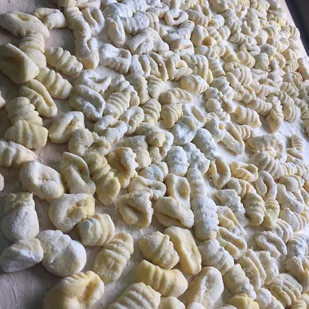 Modo Vercelli