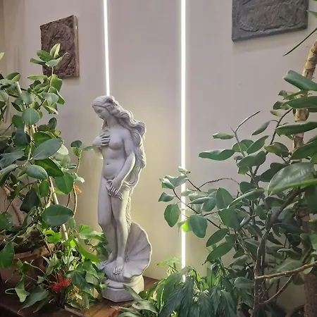 Hotel Modo